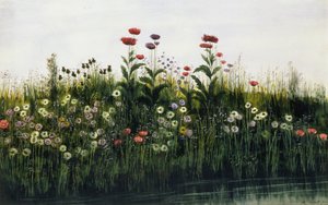 Papaveri, Margherite e Cardo su una riva del fiume